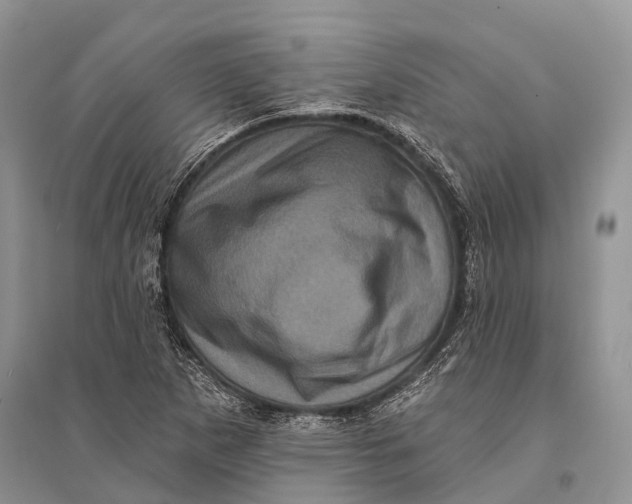 X0000094901265200712201126