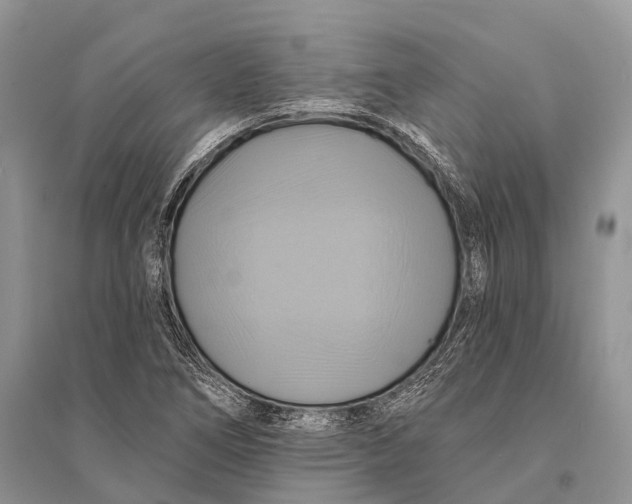 X0000094901266200712201126