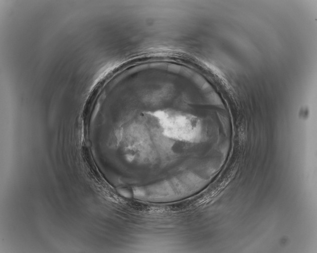 X0000094901267200712201126