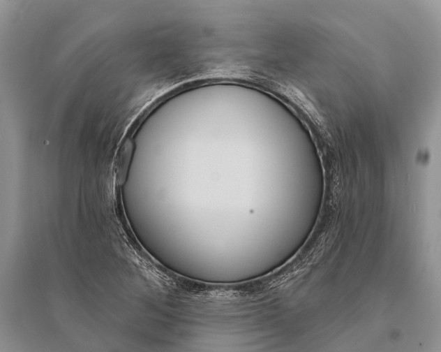 X0000094901268200712201126