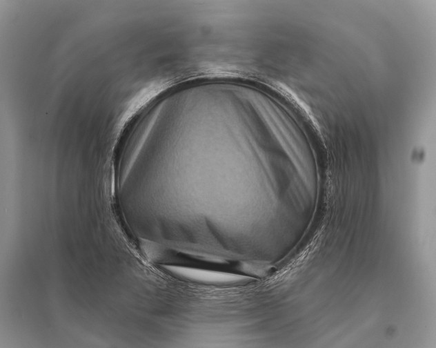 X0000094901269200712201126