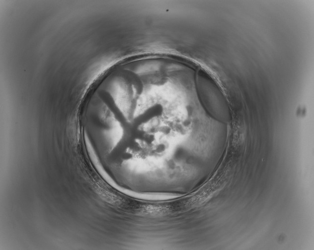 X0000094901271200712201126