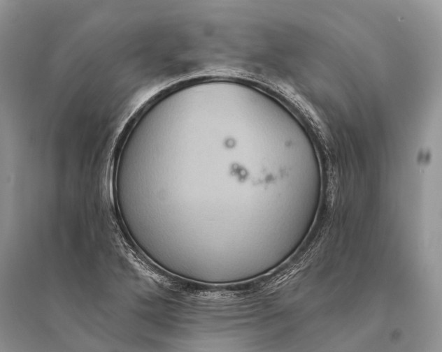 X0000094901272200712201126