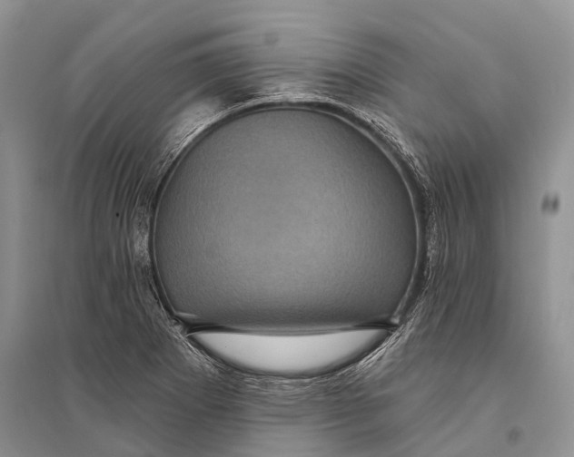 X0000094901273200712201126