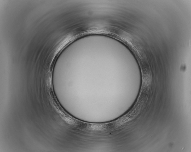 X0000094901274200712201126