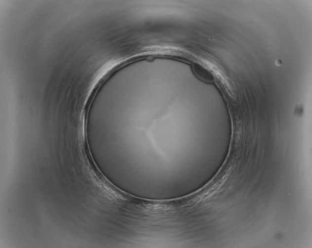 X0000094901275200712201126