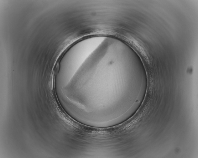 X0000094901276200712201126