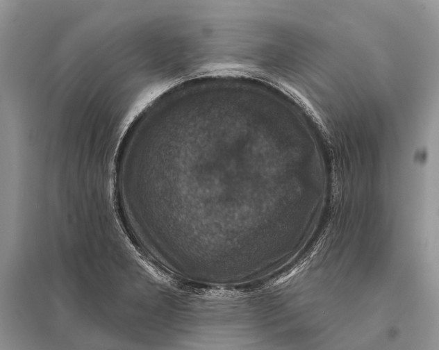 X0000094901277200712201126