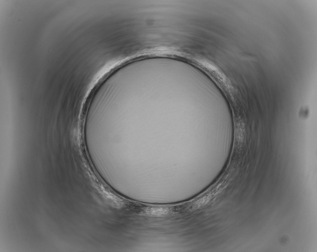 X0000094901278200712201126