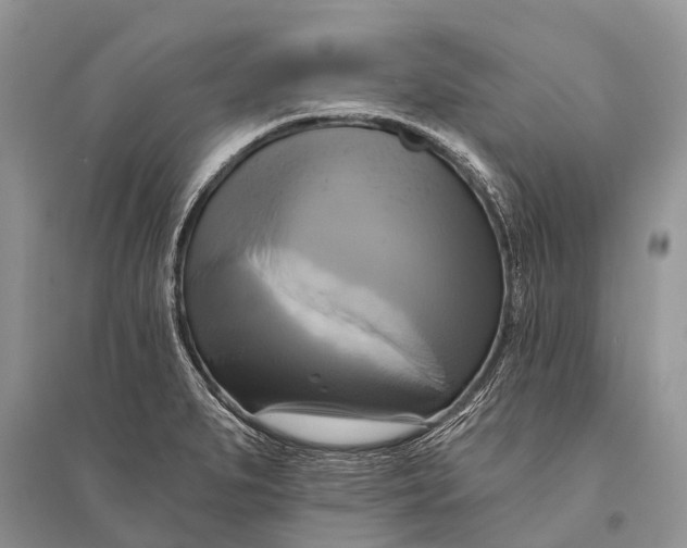 X0000094901279200712201126