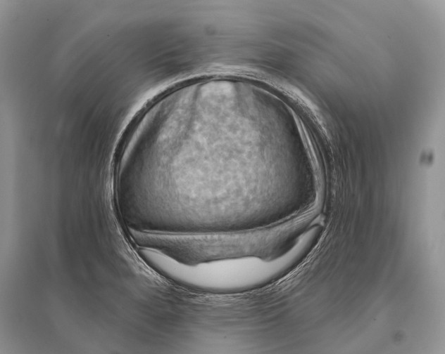 X0000094901280200712201126