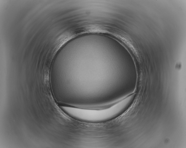 X0000094901281200712201126