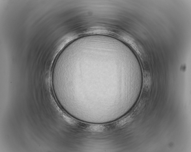 X0000094901282200712201126