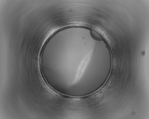 X0000094901283200712201126