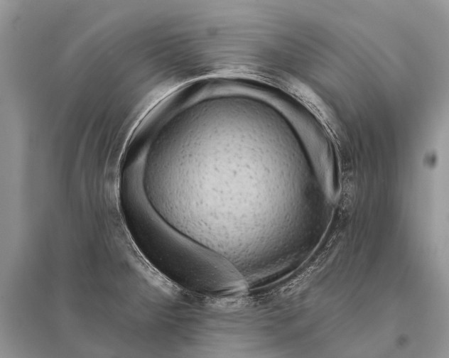 X0000094901284200712201126