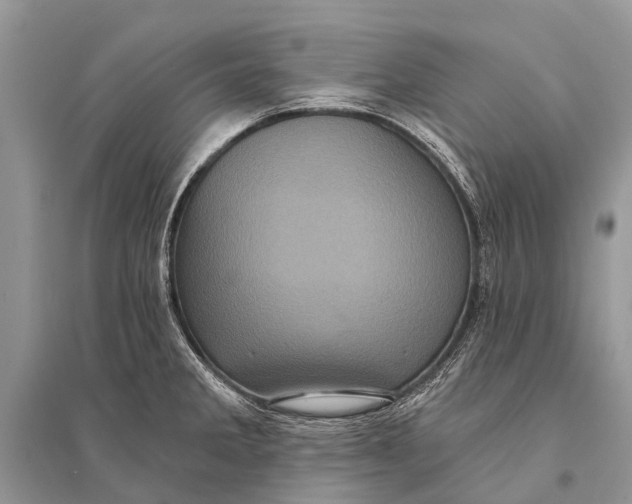 X0000094901285200712201126