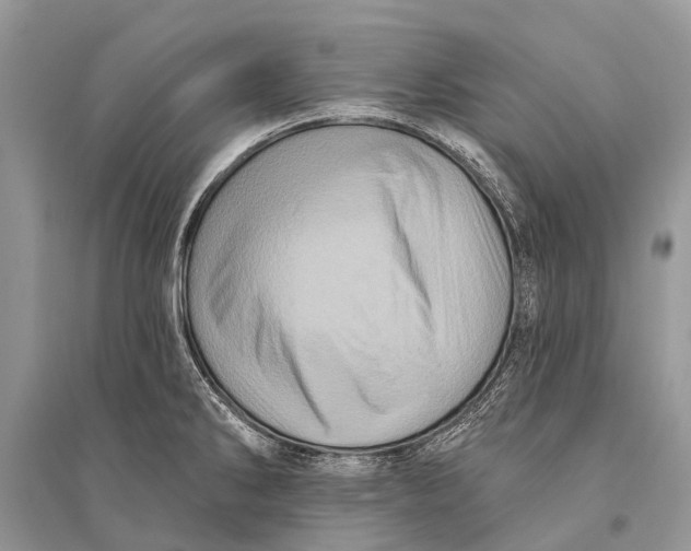 X0000094901286200712201126