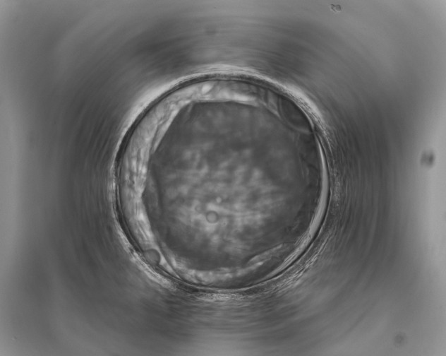 X0000094901287200712201126