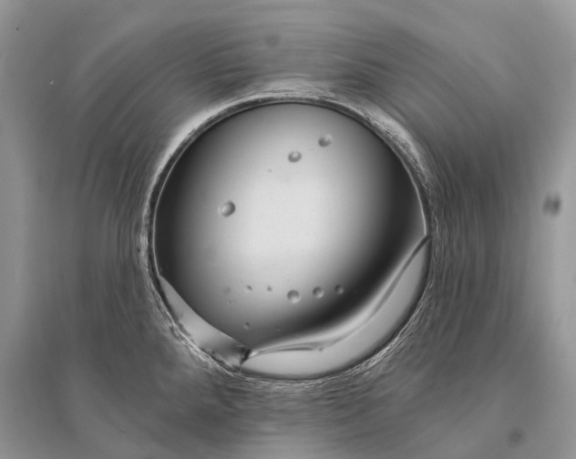 X0000094901288200712201126