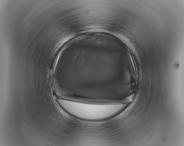 X0000094901289200712201126