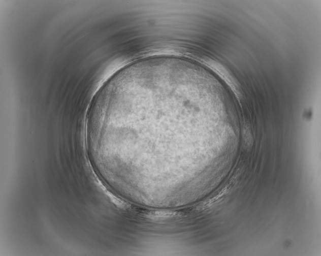 X0000094901290200712201126