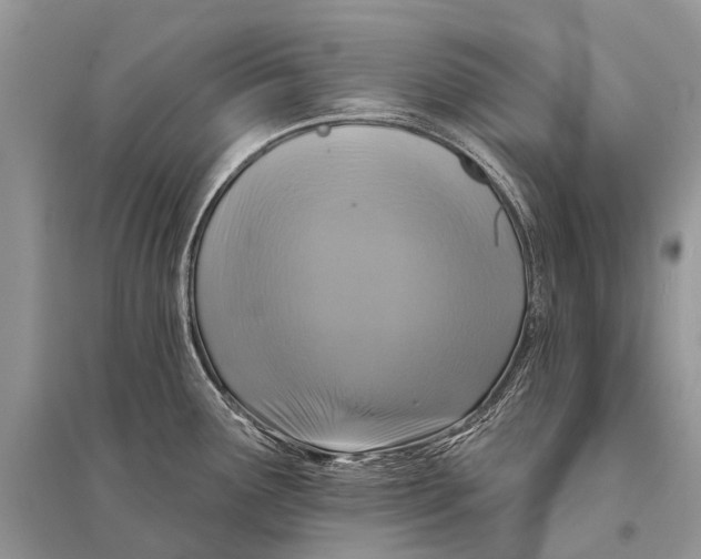 X0000094901291200712201126