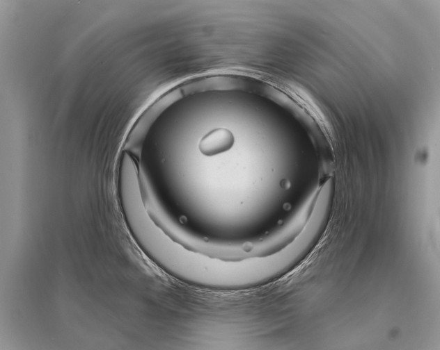 X0000094901292200712201126