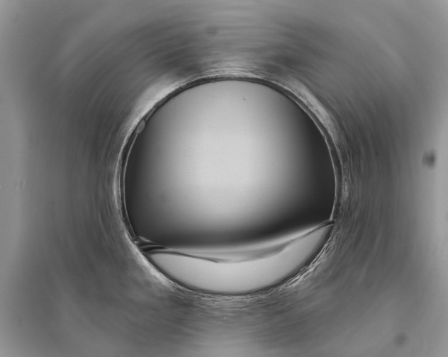 X0000094901293200712201126