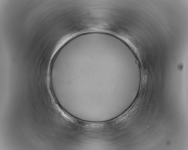 X0000094901294200712201126