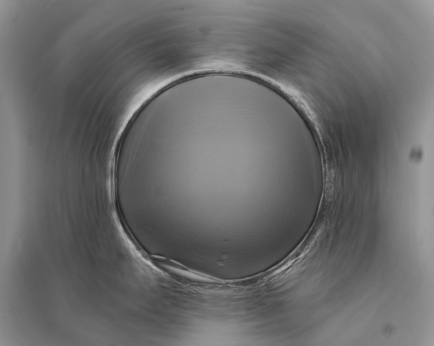 X0000094901295200712201126