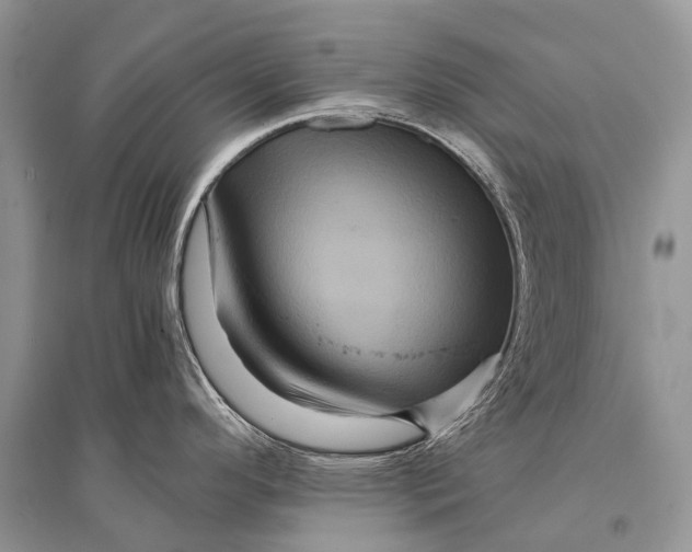 X0000094901296200712201126