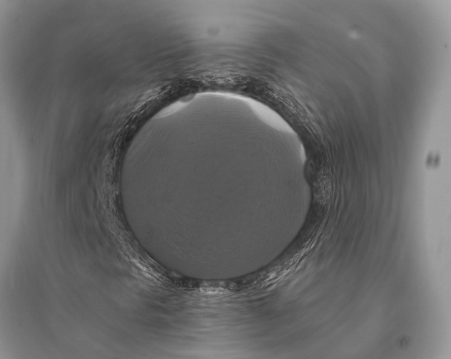 X0000094901297200712201125