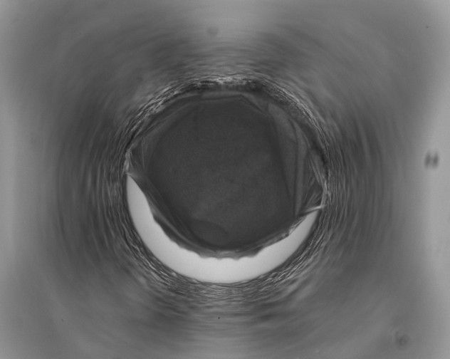 X0000094901298200712201125