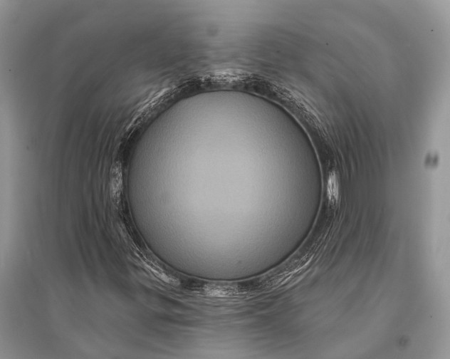 X0000094901299200712201125