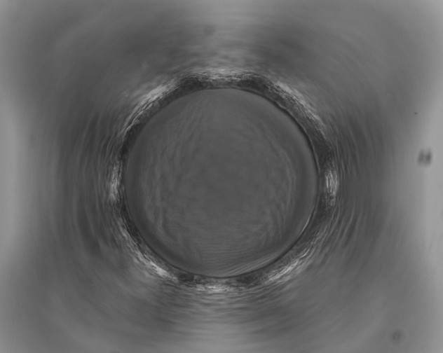 X0000094901300200712201125