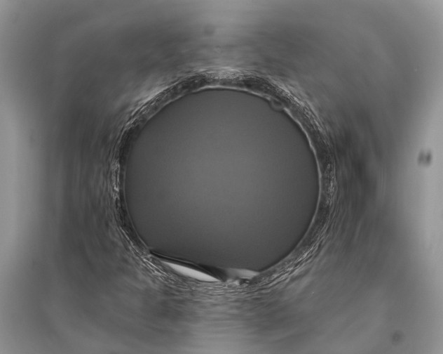 X0000094901301200712201125