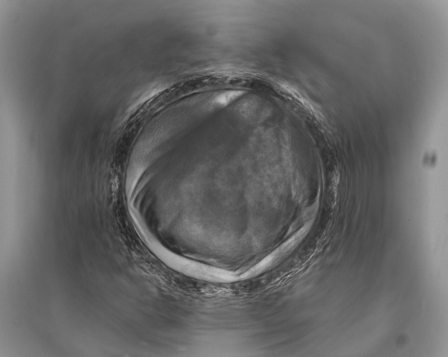 X0000094901302200712201125