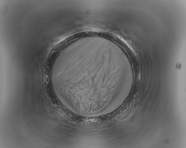 X0000094901303200712201125