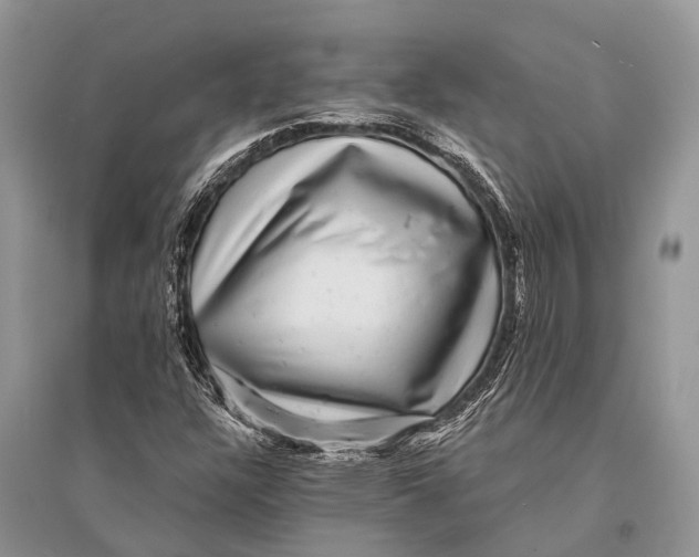 X0000094901304200712201125