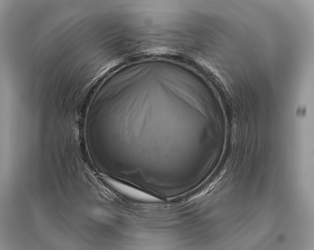 X0000094901305200712201125