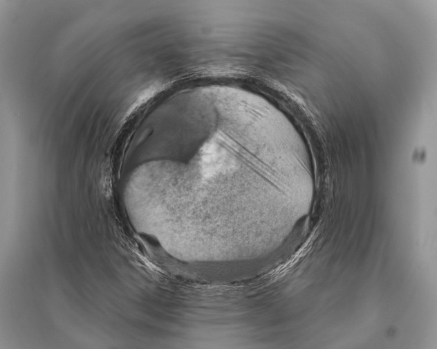 X0000094901306200712201125