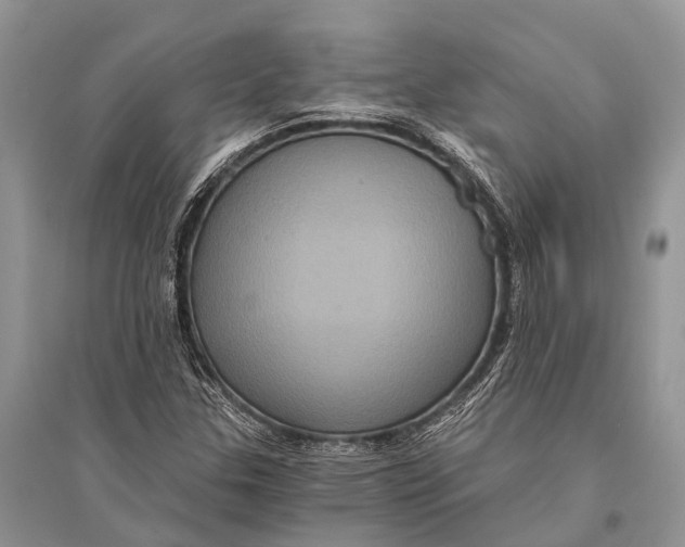 X0000094901307200712201125