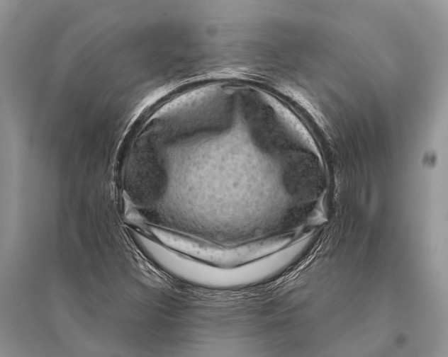 X0000094901308200712201125