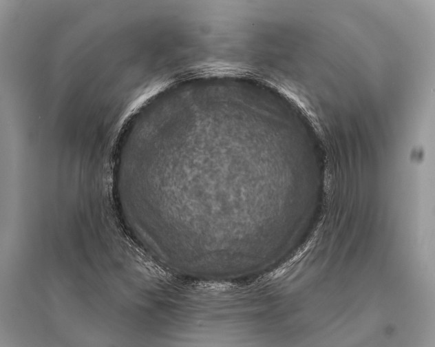 X0000094901309200712201125