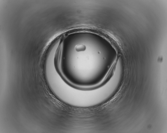 X0000094901310200712201125