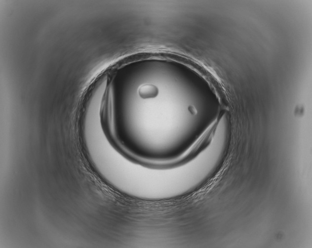 X0000094901311200712201125