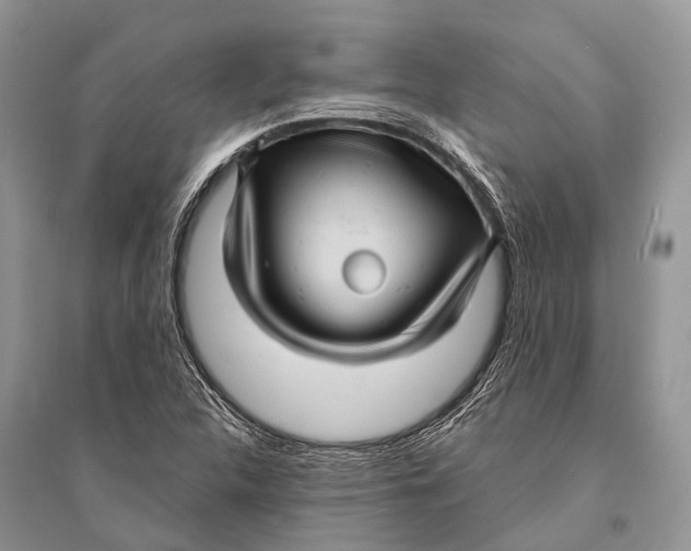 X0000094901312200712201125