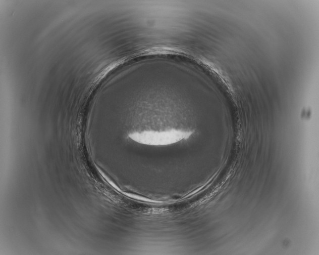 X0000094901313200712201125