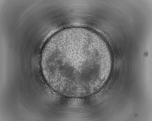 X0000094901314200712201125