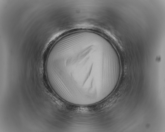 X0000094901315200712201125